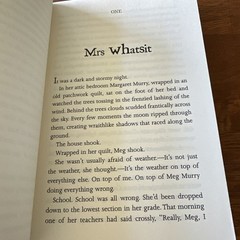 A Wrinkle in Time by Madeleine L&rsquo;Engle (2007, Trade Paperback)