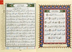 Whole Tajweed Quran in 30 Parts / Islam Color Coded Qur&rsquo;an Dar Marifa Mushaf