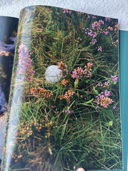 The Golfer&rsquo;s Journal Quiet Please Coffee Table Book Premium Member Gift