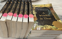 Lot of 12 A Wrinkle in Time, L&rsquo;Engle Class Teacher Set Guided Reading Books P/B