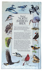 Reader&rsquo;s Digest Book of North American Birds 1990 600 Species 576 Pages Illos