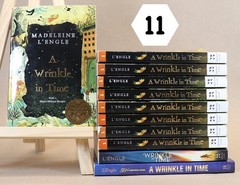 Lot of 11 A Wrinkle In Time by Madeleine L&rsquo;Engle GUIDED READING Teachers Set