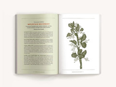 The Book of Killer Plants: A Field Guide to Nature&rsquo;s Deadliest Creations
