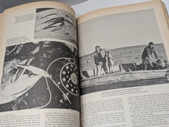 VINTAGE THE ABC&rsquo;S OF FISHING BOOK BOB ZWIRZ NOVICE TO EXPERT 288 PAGES