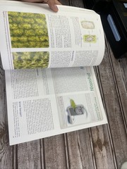 ISE Stern&rsquo;s Introductory Plant Biology ISE HED BOTANY, ZOOLOGY, ECOLOGY 15e