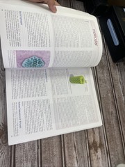 ISE Stern&rsquo;s Introductory Plant Biology ISE HED BOTANY, ZOOLOGY, ECOLOGY 15e