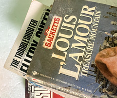 Action Lot of 12 Books Survivalist Louis Lamour Thriller Mystery Western 80&rsquo;s