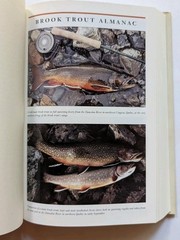 Brook Trout History Biology Angling Nick Karas Hardcover Dust Jacket Lyons Press