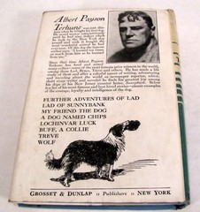 The Way of a Dog by Albert Terhune First Edition Hardback w/ Dust Jacket 1932