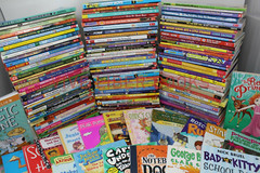 Bulk/Huge Lot of 100 of Children&rsquo;s Kids Chapter Books – Random – Free Shipping!