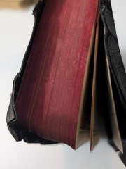 Vintage Holy Bible Illustrated With the Words of Christ Printed in Red (1940&rsquo;s)