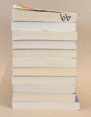 Lot of 11 A Wrinkle In Time by Madeleine L&rsquo;Engle GUIDED READING Teachers Set