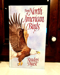 Vintage Reader&rsquo;s Digest « BOOK of NORTH AMERICAN BIRDS », hardcover, 576 pgs, Mint