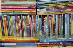 Bulk/Huge Lot of 100 of Children&rsquo;s Kids Chapter Books – Random – Free Shipping!
