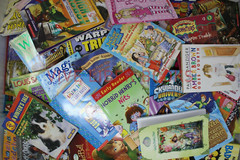 Bulk/Huge Lot of 100 of Children&rsquo;s Kids Chapter Books – Random – Free Shipping!