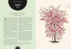Witch&rsquo;s Forest: Trees in magic, folklore and traditional remedies (Royal Botanic