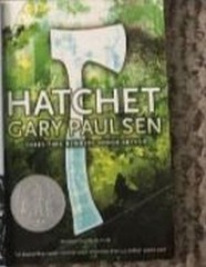 12 Children&rsquo;s Kid&rsquo;s Classic Books Lot: Scary, Snicket, Boxcar, Hatchet, OZ