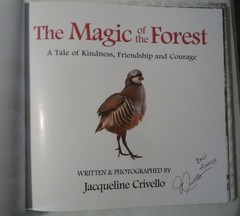 The Magic of the Forest Jacqueline Crivello Hardcover SIGNED NEW