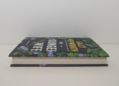 Sally Hepworth, The Younger Wife: A Novel, HC, DJ, 2022