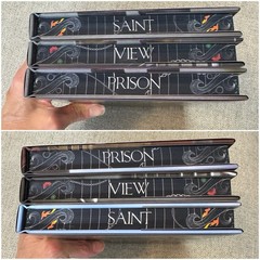 Elle Thorpe Saint View Prison Series Books For Days Crate Special Editions New