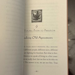 The Four Agreements Book Don Miguel Ruiz Toltec Wisdom Freedom Spirituality