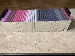 Lot of 38 The Discreet Series, Willow Winters, B B Hamel, Lauren Landish, PB