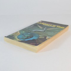 A Wrinkle in Time by Madeleine L&rsquo;Engle 1976 vintage paperback Stranger Things