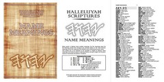 BIBLE Complete Edition & Extra-Biblical Books & Much More Has It All Worlds BEST