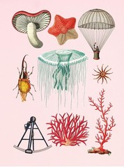 The Antiquarian Sticker Book: Over 1,000 Exquisite Victorian Stickers