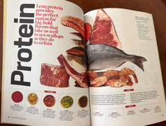 Men&rsquo;s Health Nutrition Guide 2010 – OLD NEW STOCK – NEVER BEEN READ – 176 Pages