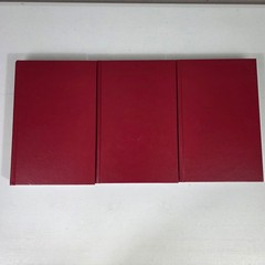 Complete Sermons of Martin Luther Volumes V VI and VII