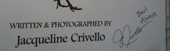 The Magic of the Forest Jacqueline Crivello Hardcover SIGNED NEW