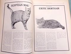 « Cat Catalog », The Ultimate Cat Book, Large « Very Good » 1st Ed. Book, 352 pages