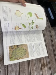 ISE Stern&rsquo;s Introductory Plant Biology ISE HED BOTANY, ZOOLOGY, ECOLOGY 15e