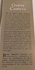 Gypsy Camera