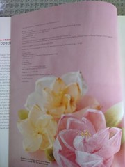 2009 First Edition Hardcover Book: Martha Stewart&rsquo;s Encyclopedia Of Crafts
