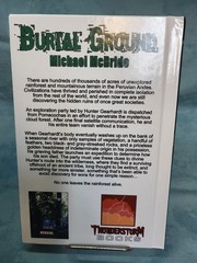 BURIAL GROUND – MICHAEL MCBRIDE – 2012 – LTD ED 190 COPIES **SIGNED** UNREAD/NEW
