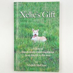 Xelie&rsquo;s Gift by Michele McGuire (2014, Trade Paperback) GC 272 pages