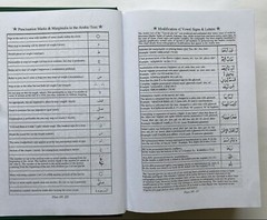 The Holy Qur&rsquo;an Tajwidi Transliterated English Translation by Nooruddeen Durkee