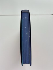BooksforDaysCrate – Ruckus by L.J. Shen