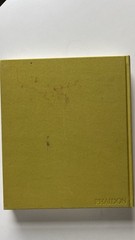 Yoshitomo Nara Art Book Yeewan Koon Phaidon Definitive Prints Biography Rare
