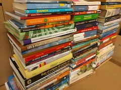 Lot of 20 Spanish ESPAÑOL Reading MEXICO Literature Books *RANDOM* UNSORTED MIX