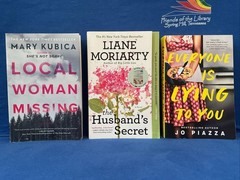 Lot of 10 – Mysteries/Thriller PB by Kubica, Moriarty, Roberts & Others