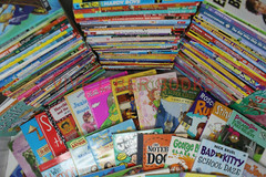 Bulk/Huge Lot of 100 of Children&rsquo;s Kids Chapter Books – Random – Free Shipping!