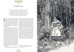 Witch&rsquo;s Forest: Trees in magic, folklore and traditional remedies (Royal Botanic