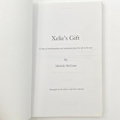 Xelie&rsquo;s Gift by Michele McGuire (2014, Trade Paperback) GC 272 pages