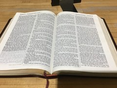 Holy Bible: People&rsquo;s Parallel Edition King James Version New Living Translation,