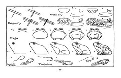 What To Draw And How To Draw It « 1913 » 76 Pages