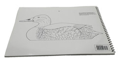 Workbench Projects DECORATIVE CANVASBACK PAIR Wildfowl Carving Magazine