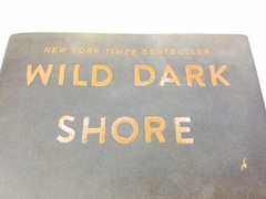 Wild Dark Shore: Reese&rsquo;s Book – Hardcover, by McConaghy Charlotte. NEW! 2025